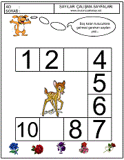 sayılar örüntü çalışmaları